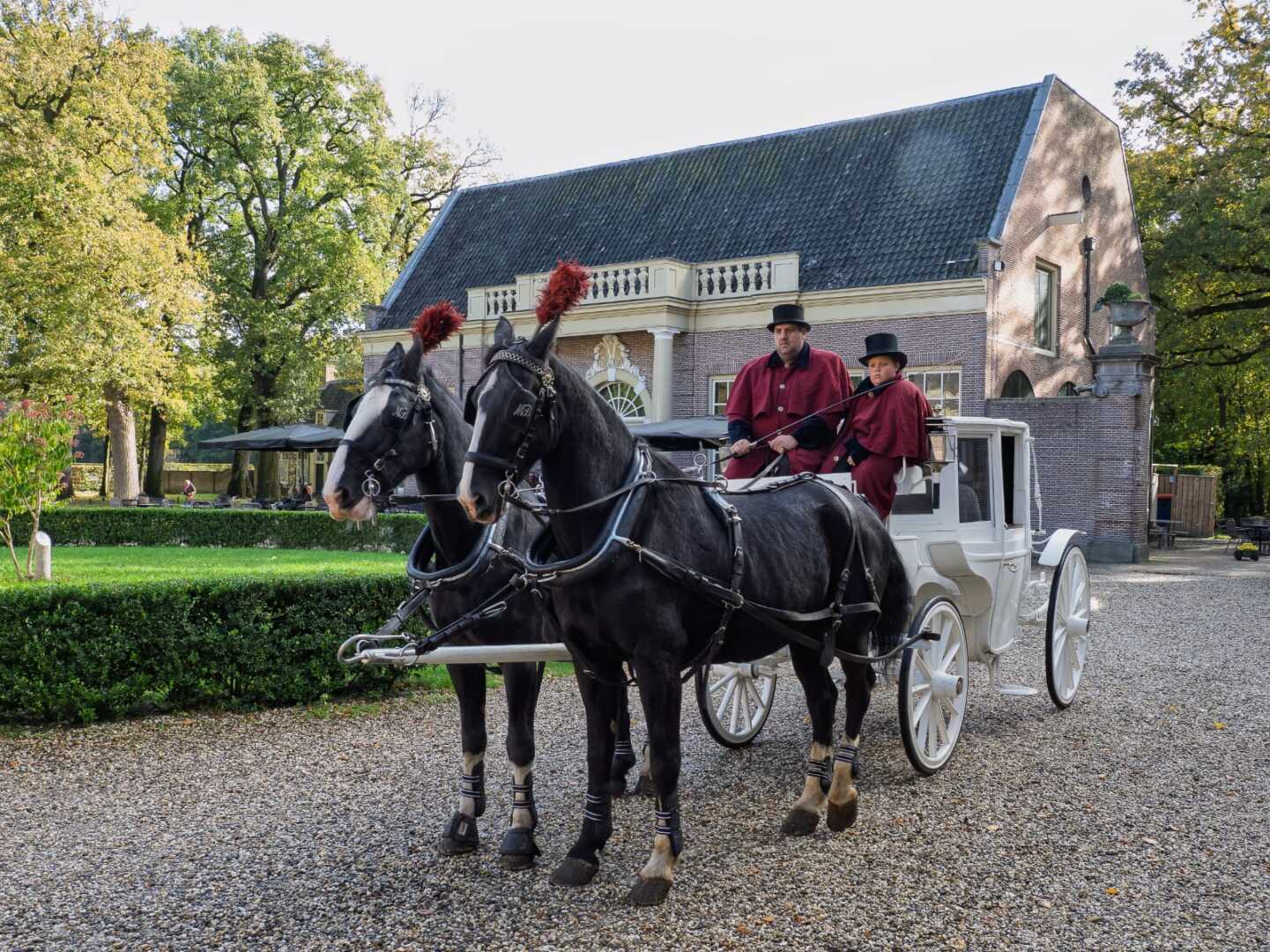 Witte Glas Landauer met span Gelderse paarden bij Kasteel Groeneveld in Baarn