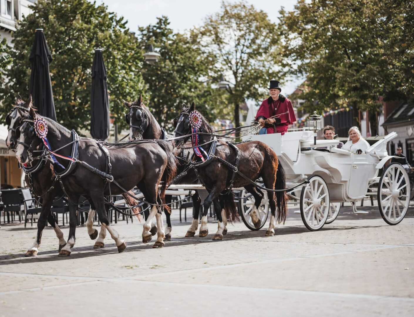 Witte Glas Landauer met 4-span Gelderse paarden in Horst