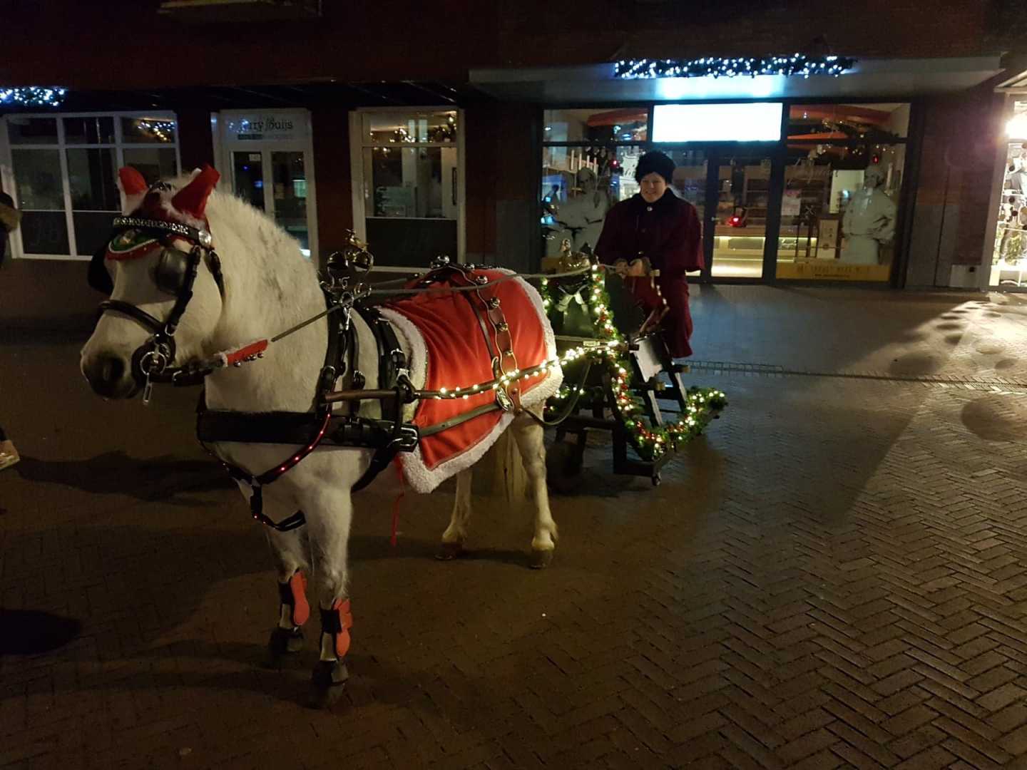 Arretikker met Singels Gwinn in Zoetermeer