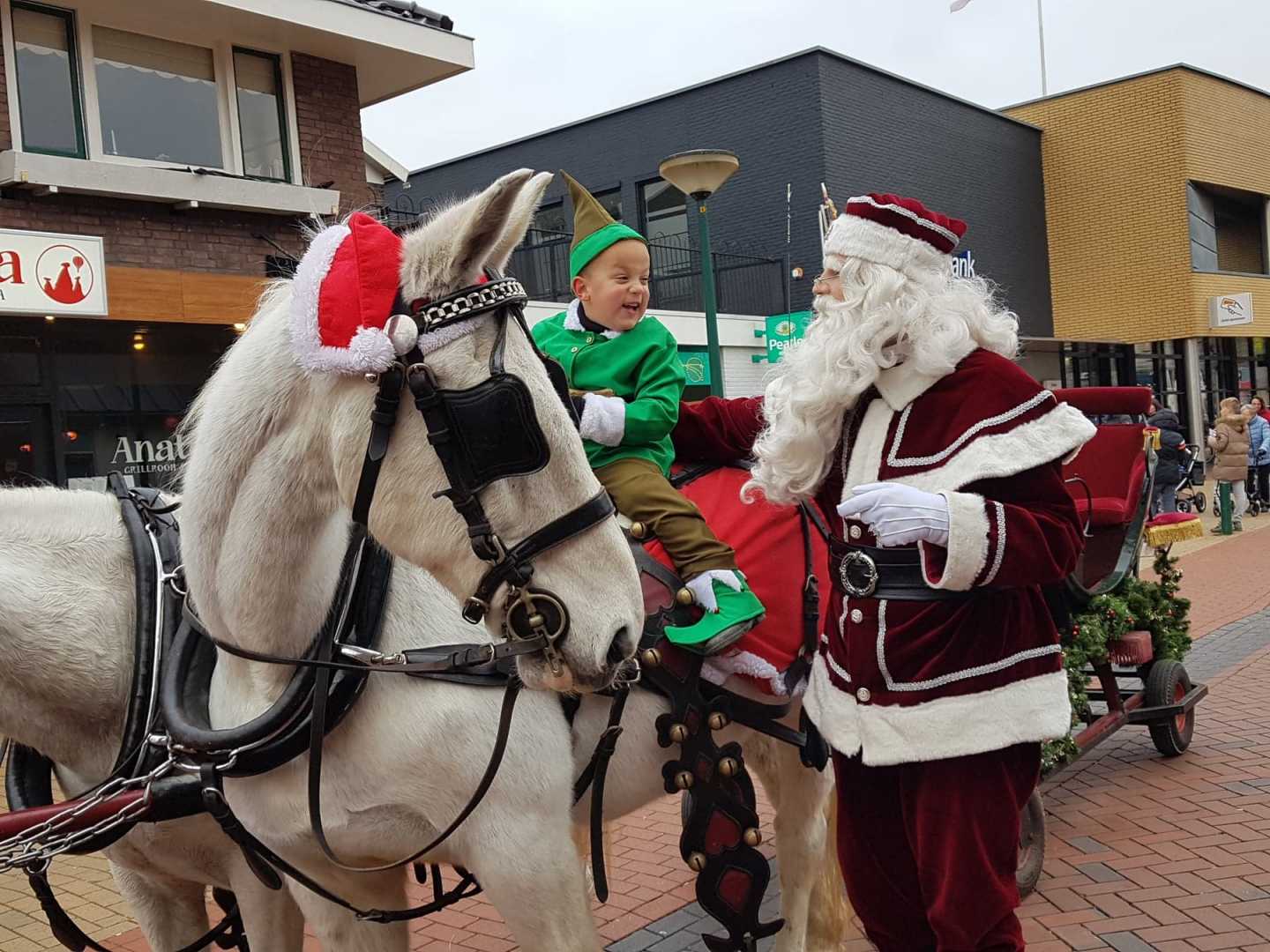 Met de arreslee in Surhuisterveen