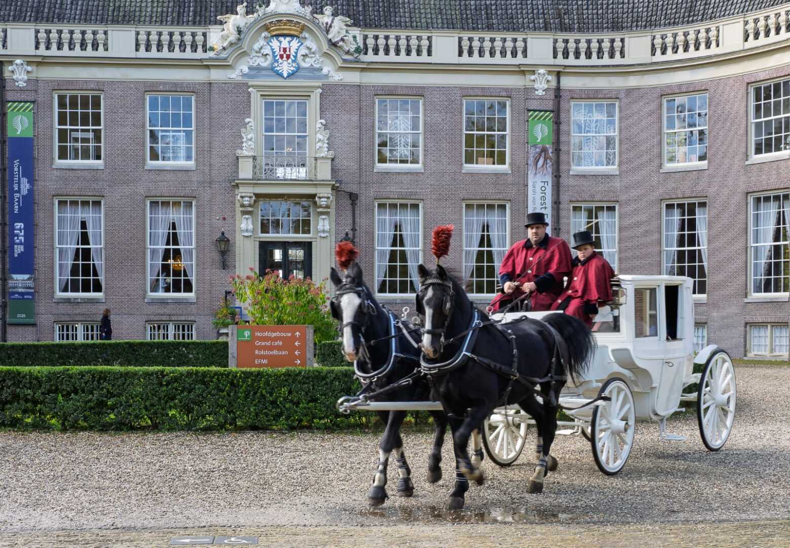 Witte Glas Landauer met span Gelderse paarden bij Kasteel Groeneveld in Baarn