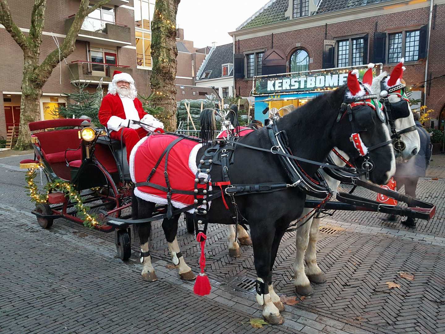 Arreslee met schimmel en zwartbles in Woerden