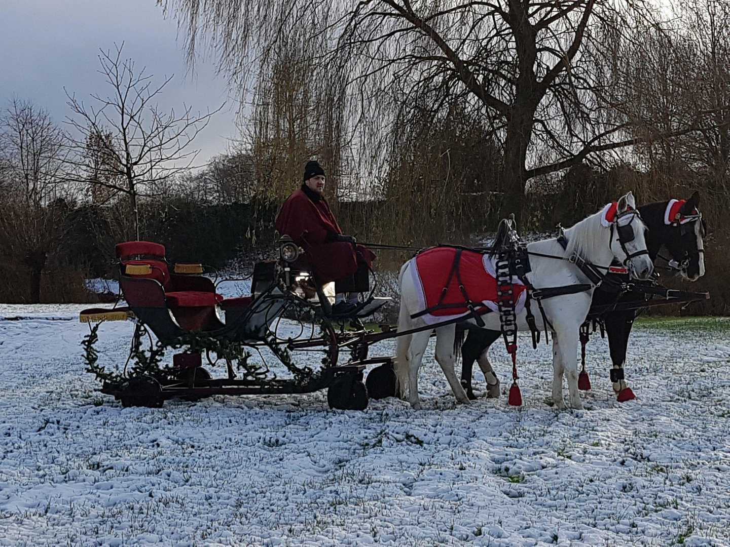 Arreslee met schimmel en zwartbles in Woudenberg