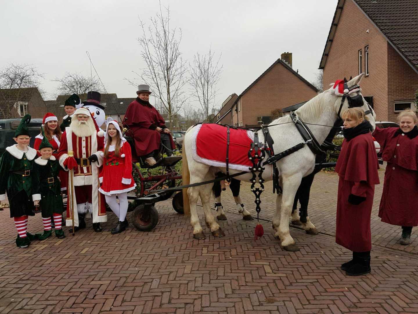 Arreslee met schimmel en zwartebles in Nijkerk