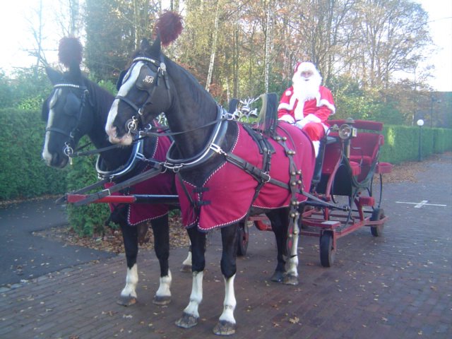 Arreslee met span Gelderse paarden bij de Efteling