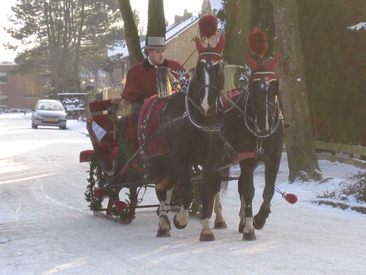 Arreslee met span Gelderse in Hoevelaken