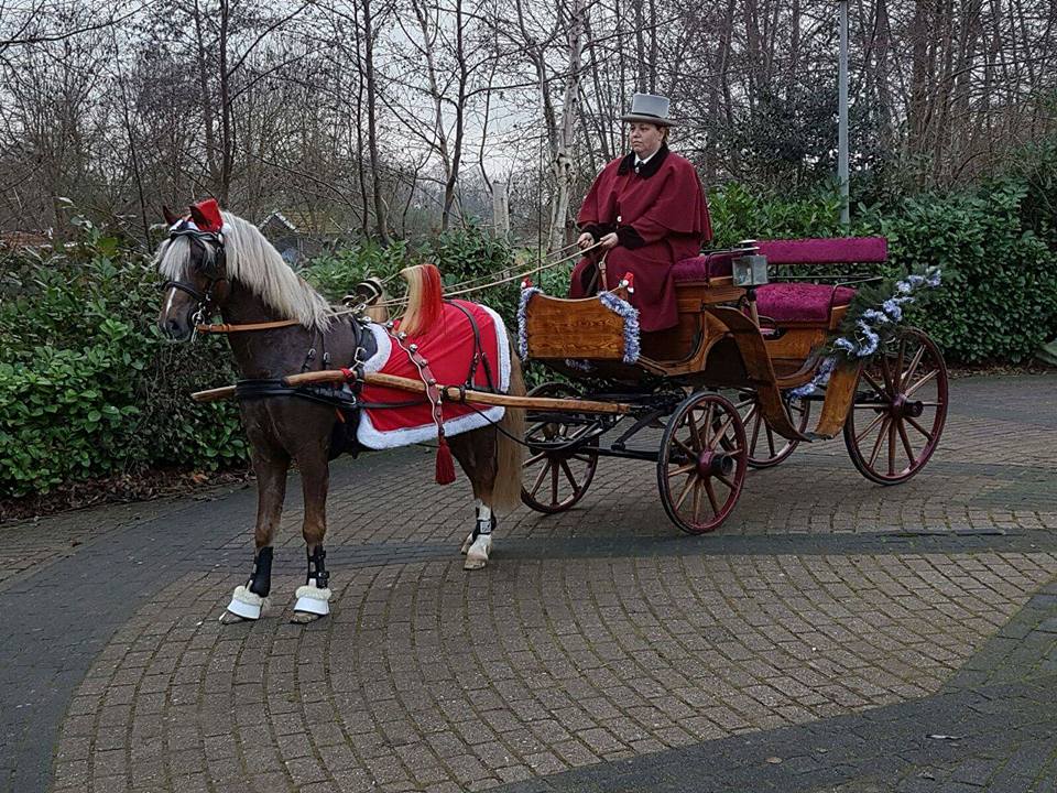 Pony Jachtwagen in Kerststijl in Achterveld