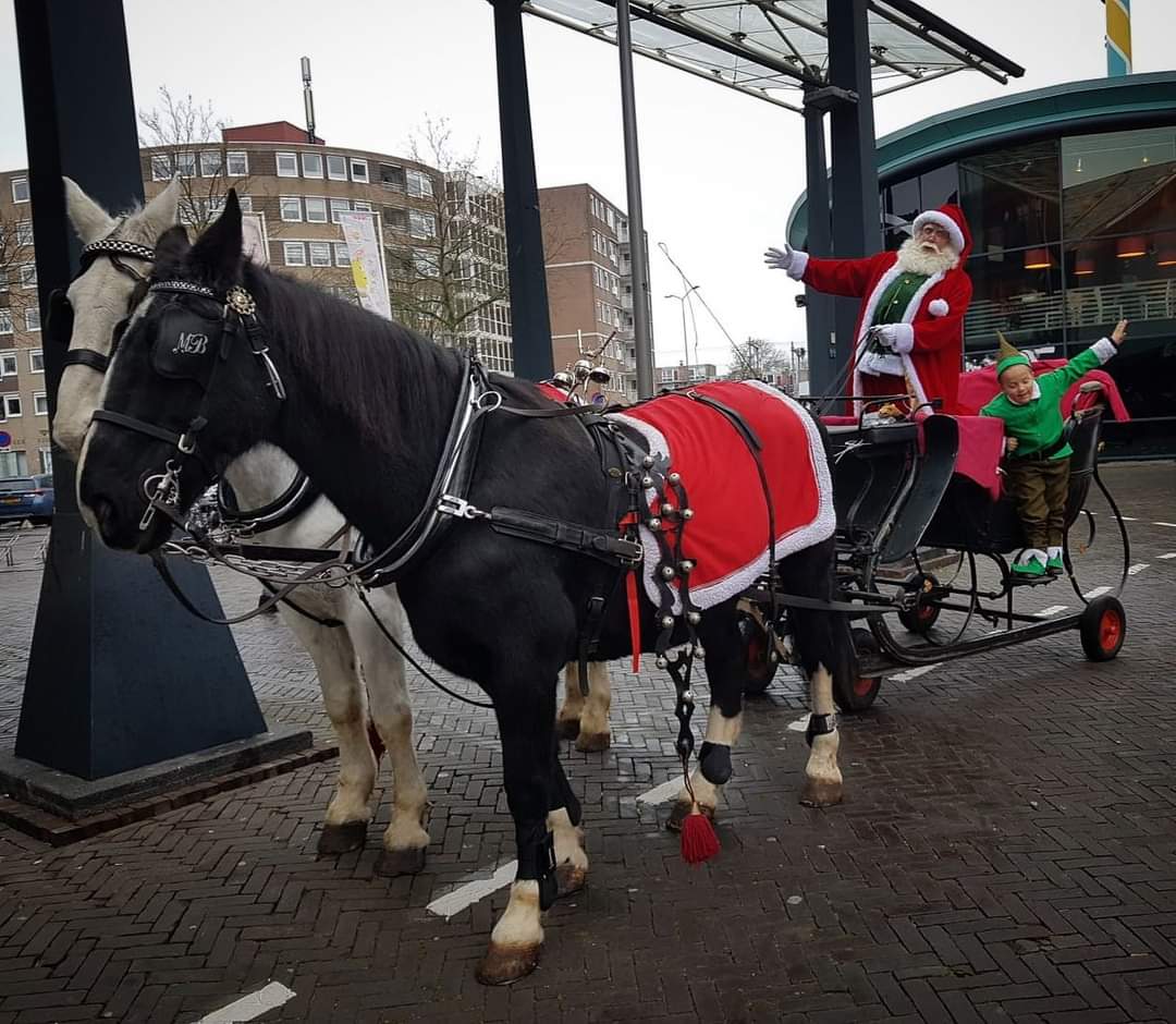 Arreslee met schimmel en zwartbles in de Bieshof in Dordrecht