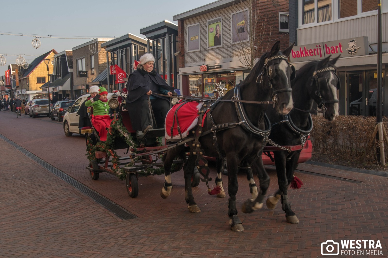 Arreslee met span Gelderse in Surhuisterveen