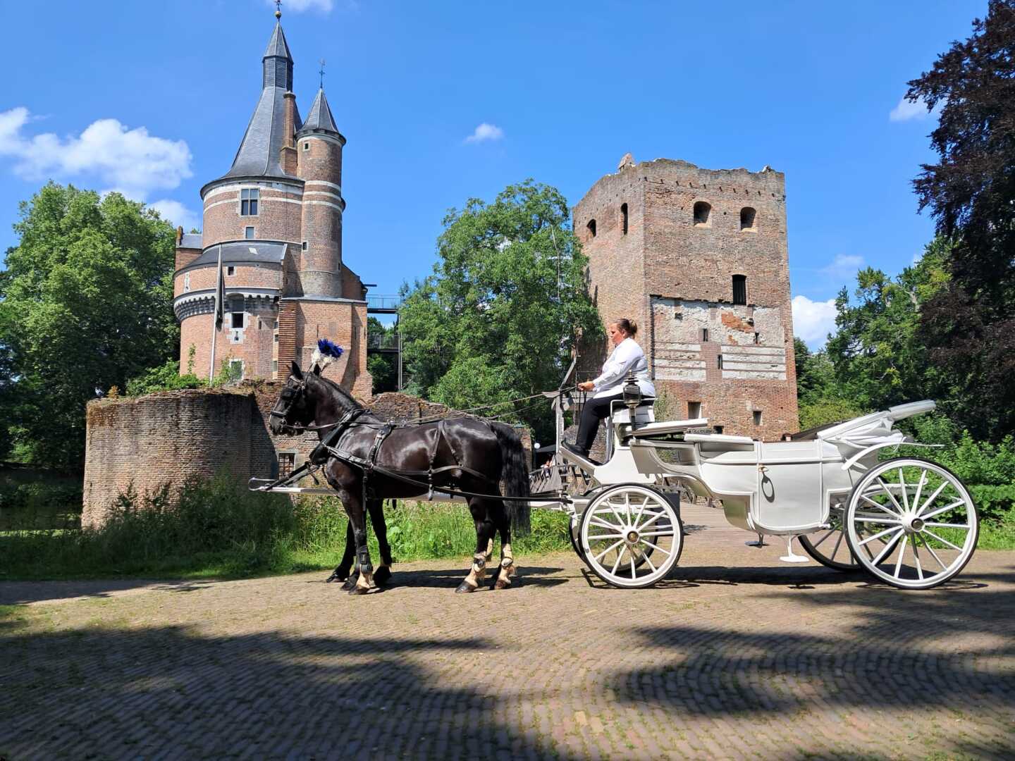 Witte glas landauer met span Gelderse paarden tijdens een trouwerij bij Kasteel Duurstede
