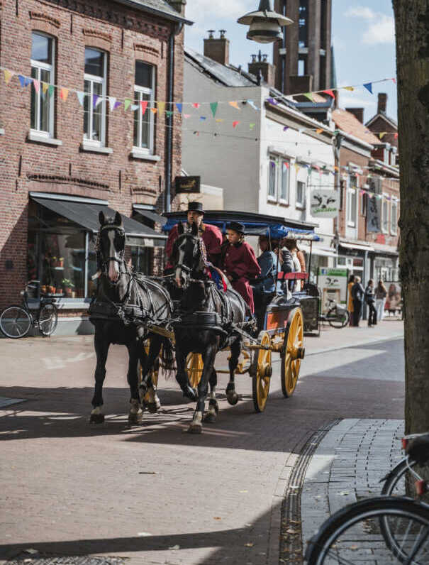 Jan Plezier met een span Gelderse paarden in Hegelsom