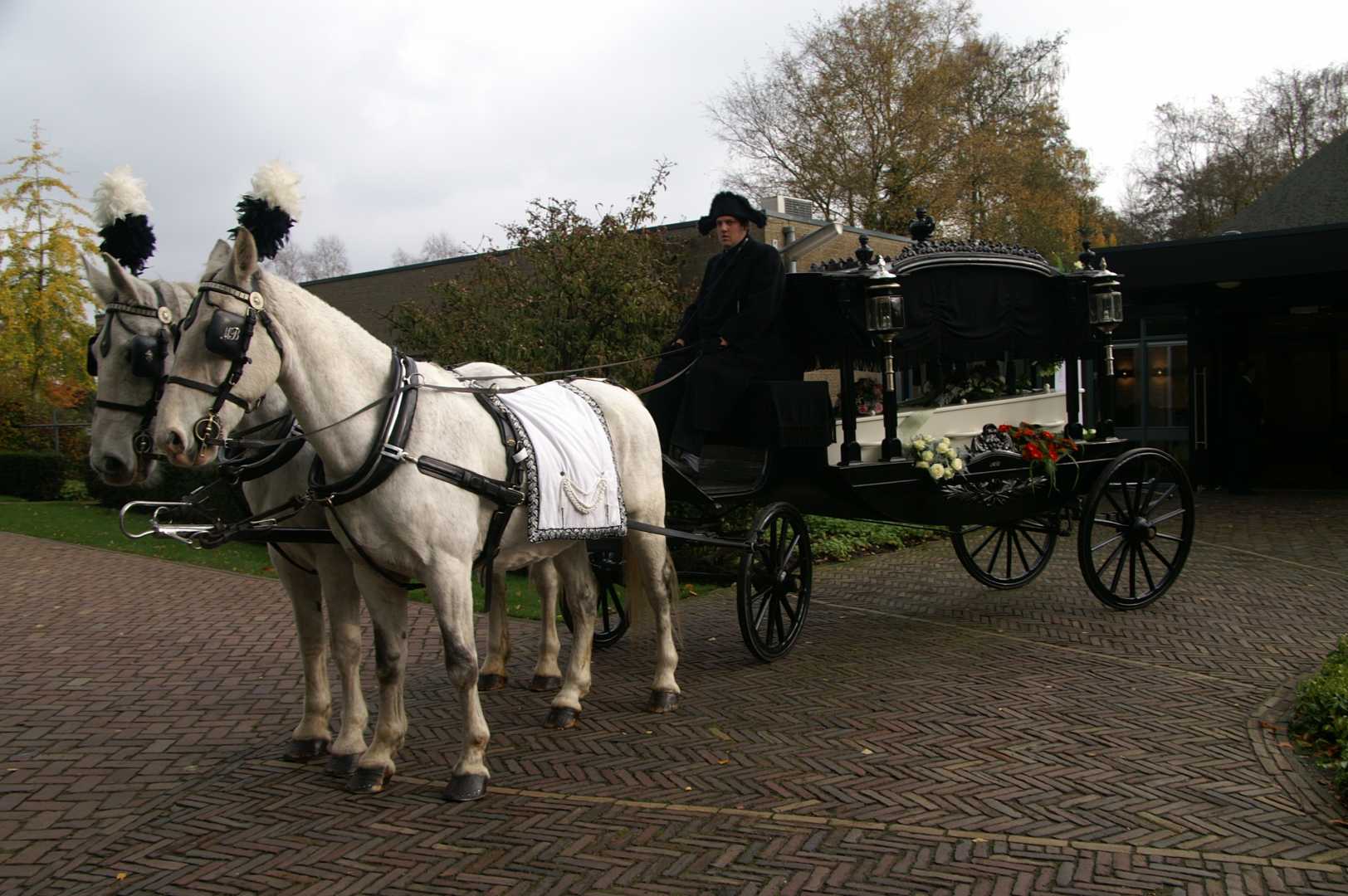 Zwarte Rouwkoets met span Schimmels in Nijkerk