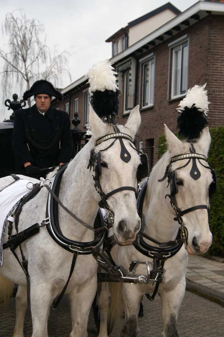 Zwarte Rouwkoets met span Schimmels in Nijkerk