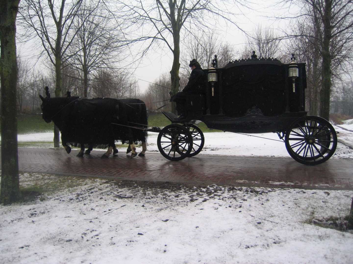 Zwarte rouwkoets, gesloten met span Gelderse paarden in Almere