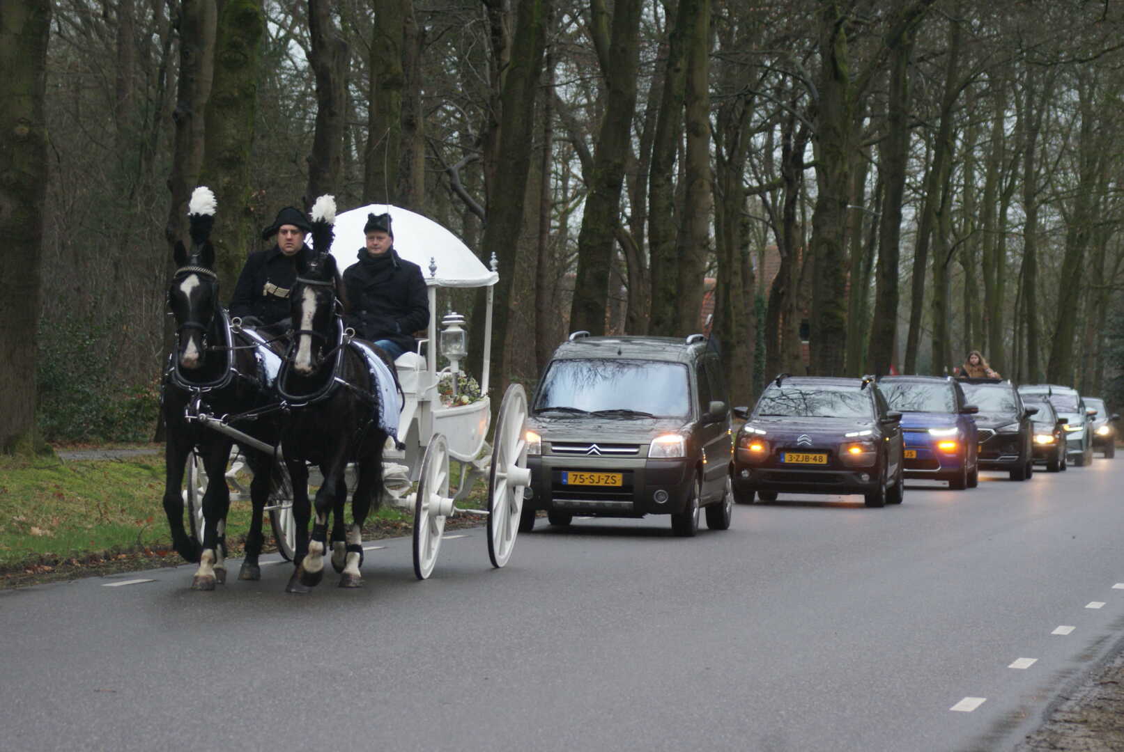 Witte Rouwkoets met span Gelderse paarden in Ede