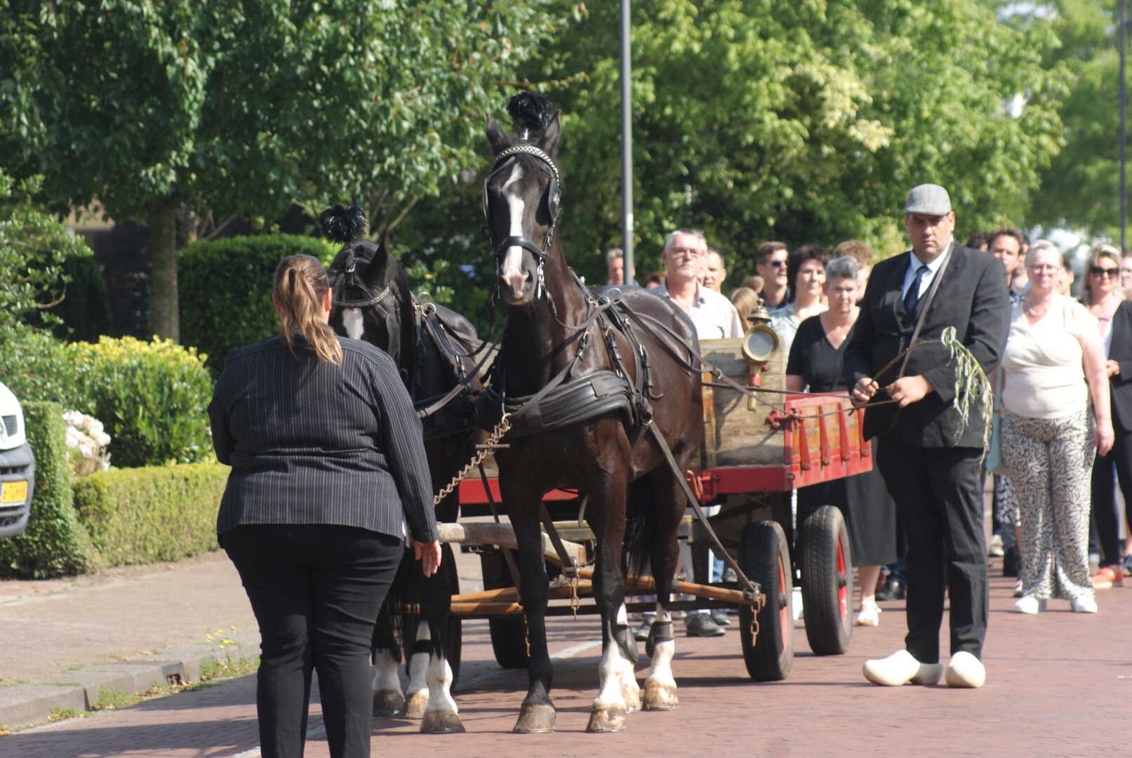 Platte wagen met span Gelderse paarden tijdens uitvaart in Leusden