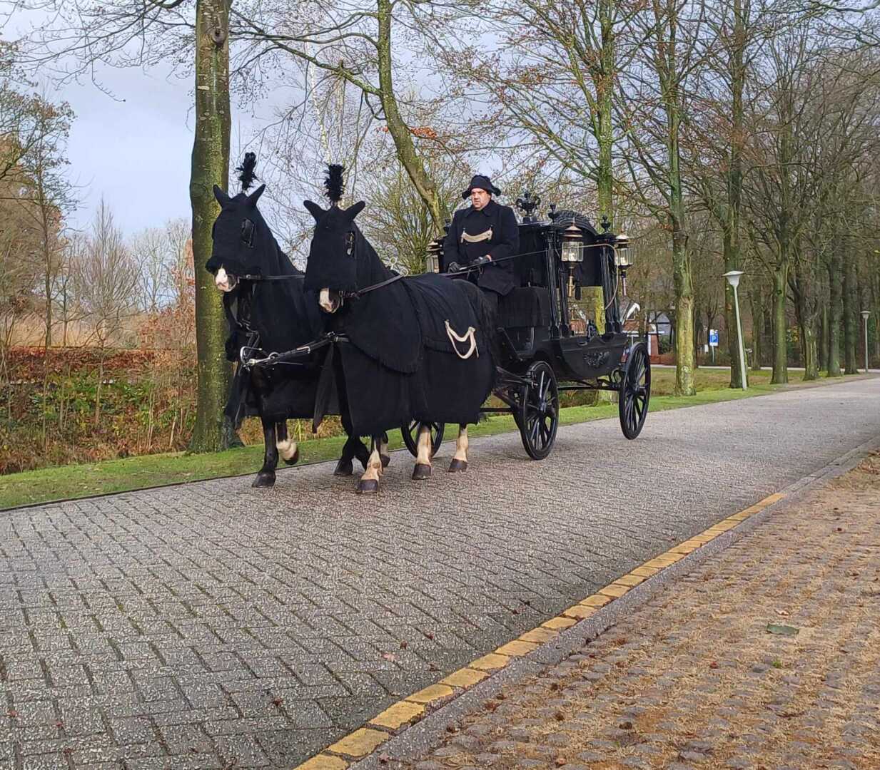 Zwarte Rouwkoets met span Gelderse paarden in Putten