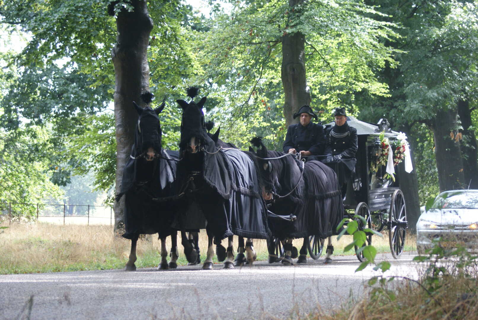 Zwarte Rouwkoets met 4 span Gelderse paarden in Arnhem