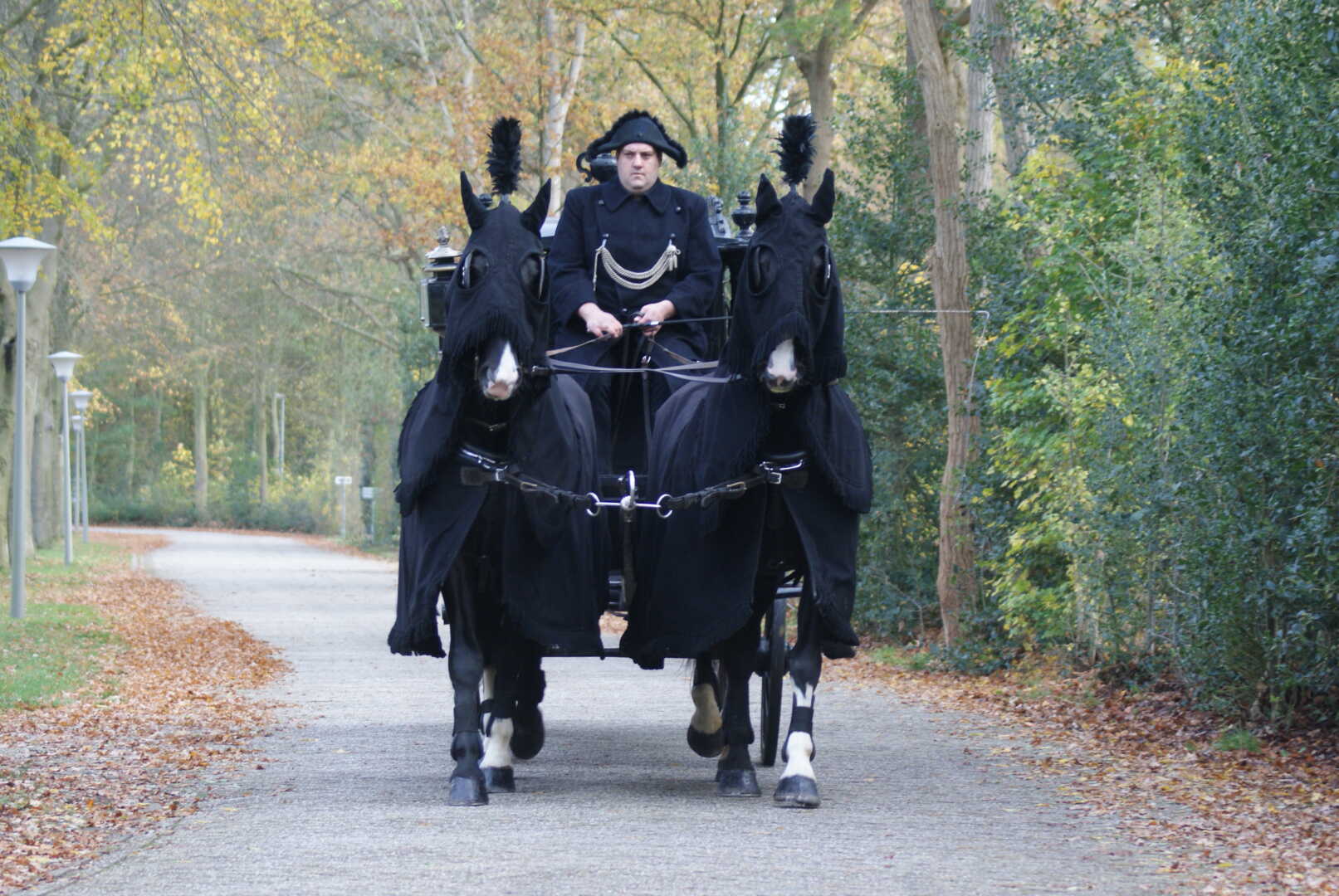 Zwarte Rouwkoets met span Gelderse paarden in Putten
