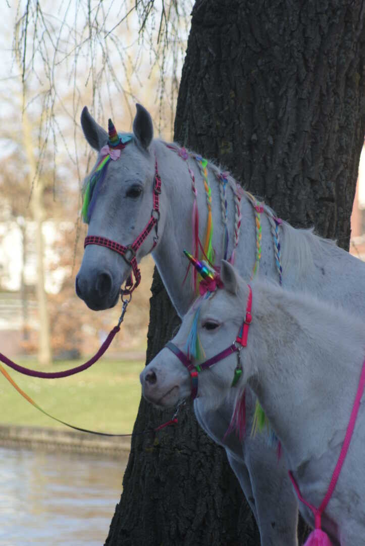 Unicorns bij Kasteel Woerden voor Make-a-Wish Nederland