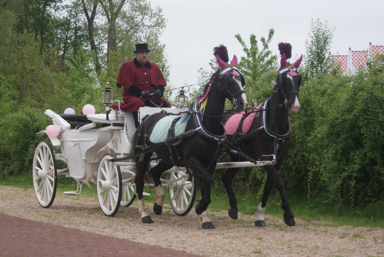 Zorro & Aroza als Unicorns voor de Witte Landauer voor Make-a-Wish Nederland bij Kasteel Heeswijk