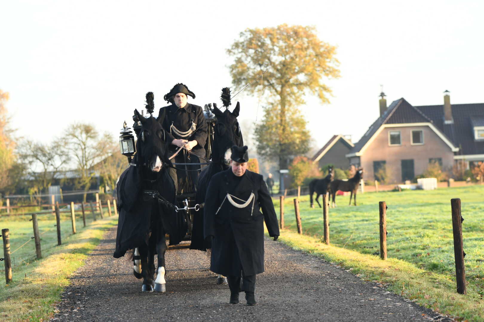 Zwarte Rouwkoets met span Gelderse paarden in Putten